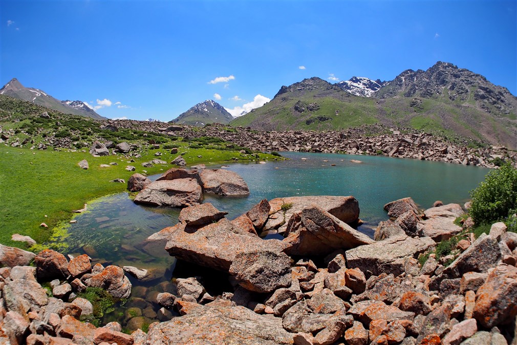 Katta kokraklar oynaydi Erotik ichki kiyimdagi fotosuratlar